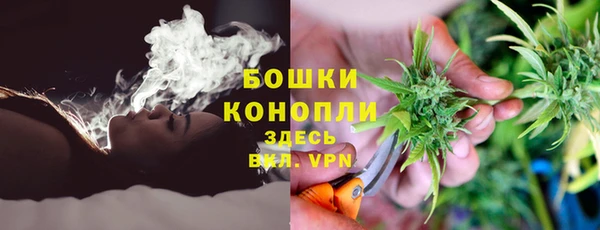 прущие грибы Липки