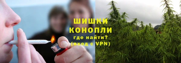 прущие грибы Липки