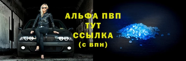 прущие грибы Липки