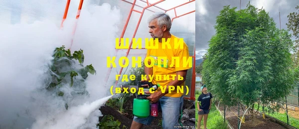 молекула духа Лихославль