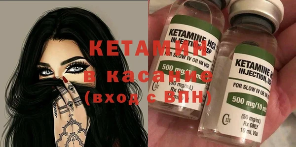 прущие грибы Няндома