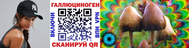 Псилоцибиновые грибы Magic Shrooms  закладки  гидра ТОР  Нестеров 